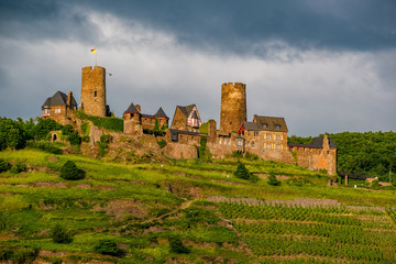 Thurant Castle and vineyards above Moselle river near Alken, Germany.