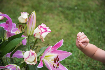 Bouquet de fleurs et main d'enfant 