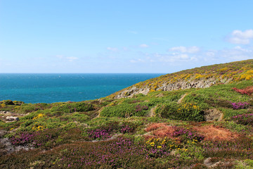 Cap fréhel © FABIEN