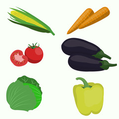 Set of vegetable on white background. Vector illustrations