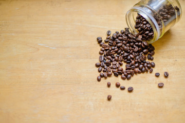 coffee seeds