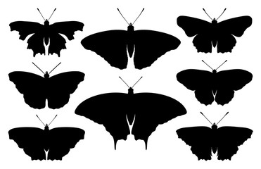 Butterfly collection - vector silhouette illustration