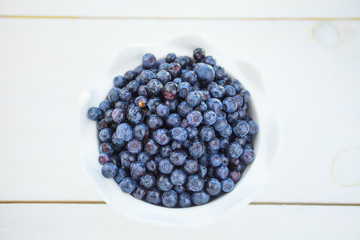 blueberries on a white background summer