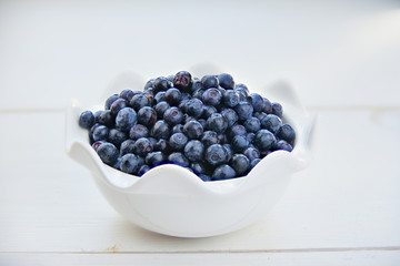 blueberries on a white background summer