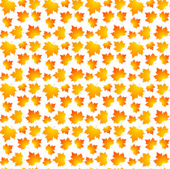 Seamless autumn pattern. Autumn leaves on a white background