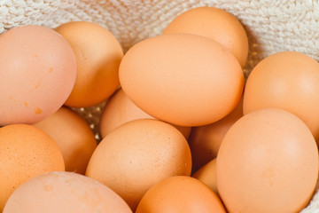 eggs