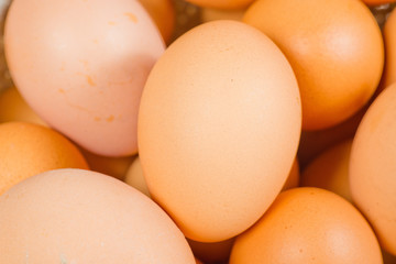 eggs