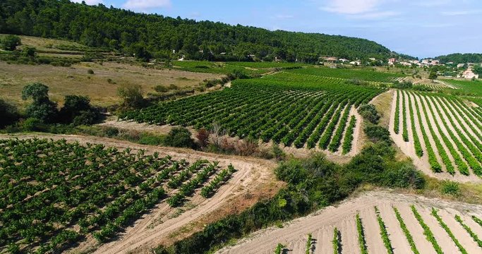 vignes en vue a&eacute;rienne, france