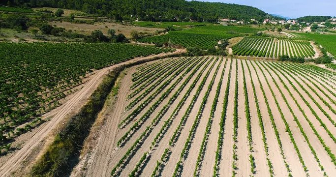 vignes en vue a&eacute;rienne, france
