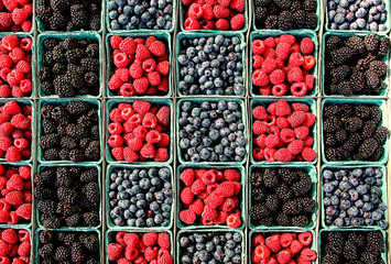 Aerial view of raspberries, bluberries and blackberries in containers