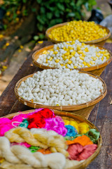 color of Cocoon / nature / butterfly / silk