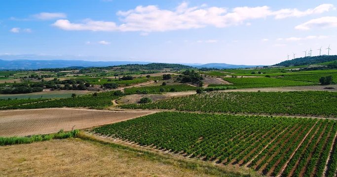 vignes en vue a&eacute;rienne, france