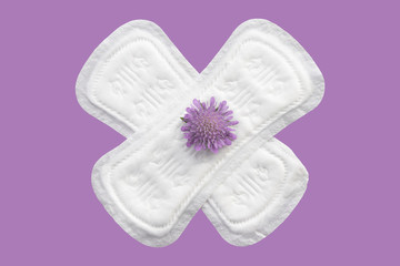Daily, menstrual woman pads for hygiene or blood period. Menstruation sanitary soft pads with flowers, hygiene protection. Woman critical days, gynecological menstruation cycle. Medical concept photo.
