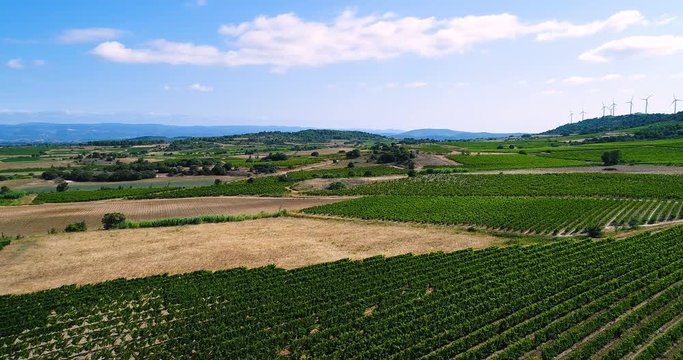 vignes en vue a&eacute;rienne, france