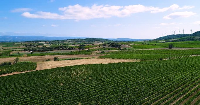 vignes en vue a&eacute;rienne, france