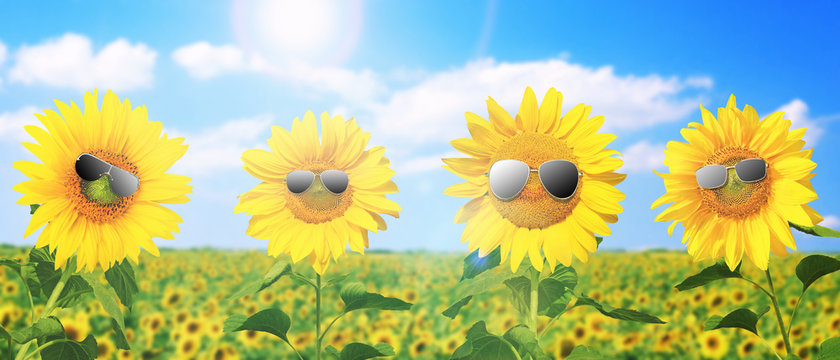 Sonnenblume mit Sonnenbrille