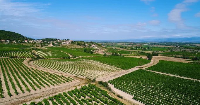 vignes en vue a&eacute;rienne, france