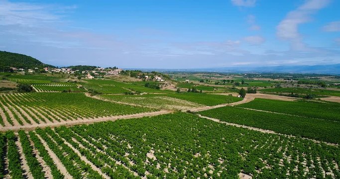 vignes en vue a&eacute;rienne, france