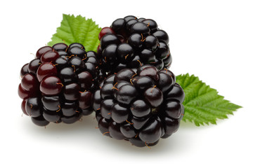 Blackberries