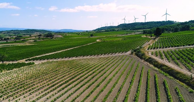paysage de vignes avec &eacute;olienne en fond