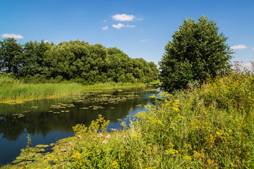 Summer landscape with river in Russia. Front focus