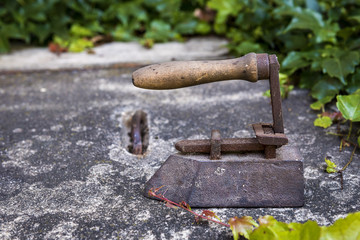 An old rusty iron lost between the ivy