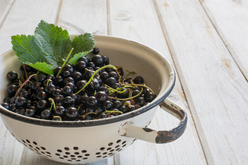 Colander full of freshly harvested black currants on wooden background. Side view. Summer havest.