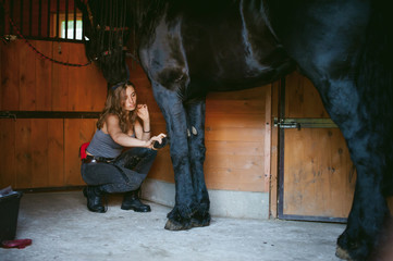 woman horseman cleans from dirt with brush Friesian horse in stables on farm, taking care of purebred pets