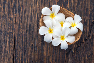 Plumeria flowers in a small basket weave on  wood background