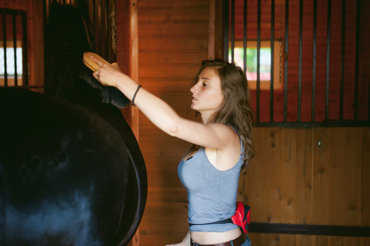 woman horseman cleans from dirt with brush Friesian horse in stables on farm, taking care of purebred pets