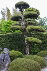 Fototapeta na wymiar Japanese garden in Chiran Japan.