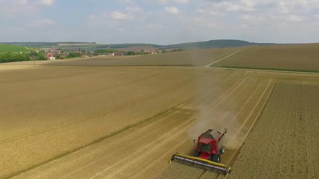 Aerial View of Combine Harvester Gathers the Golden Wheat / 4K UHDV Movie 