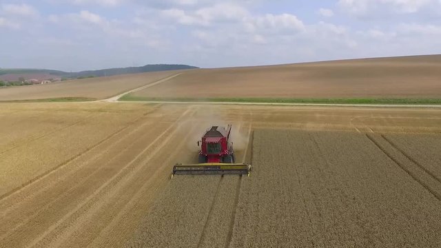 Aerial View of Combine Harvester Gathers the Golden Wheath / 4K UHDV Movie