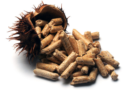 Pellety Pellets de madera Holzpellet Pellas Pellet fuel Legno Pelet 颗粒燃料 madeira 목재 팰릿 &Pi;έ&lambda;&lambda;&epsilon;&tau; Peleta Lesni Granul&eacute; de bois &xi;ύ&lambda;&omicron;&upsilon; Drveni peleti Houtpellets Топливные 木質ペレット гранулы Br&auml;nslepellets