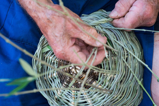 Handmade hands while making a wicker basket