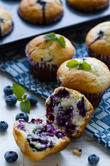 fresh blueberry muffin
