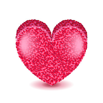 Big pink heart isolated on white vector