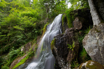 Fototapeta na wymiar Wasserfall in Le Hohwald in den Vogesen