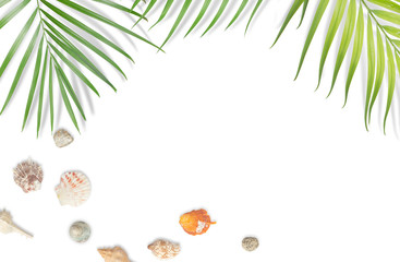 Seashells with tropical leaves frame on white background. Summer beach concept