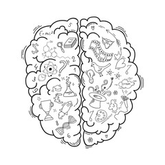 Concept of the human brain