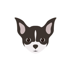 Portrait of Chihuahua Puppy. Simple Dog. Vector illustration.