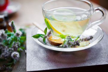 Herbal tea from lemon balm