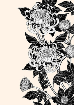 Chrysanthemum vector on brown background.Chrysanthemum flower by hand drawing.Floral tattoo highly detailed in line art style.Flower tattoo black and white concept.