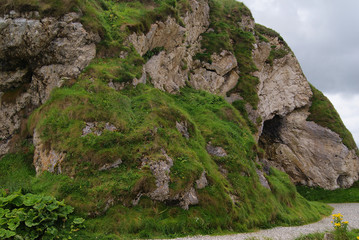 Landschaft um Carrick-a-Rede - Rope Bridge -  Nordirland