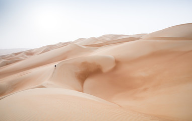 Rub al Khali Desert at the Empty Quarter, in Abu Dhabi, UAE