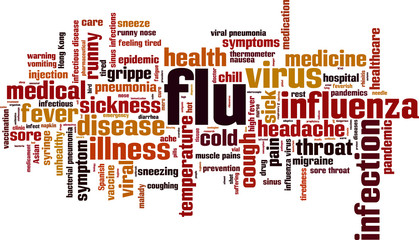 Flu word cloud