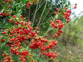 山頂からの眺め