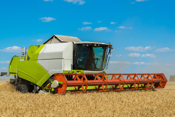 Combine harvester threshes wheat on field, Russia