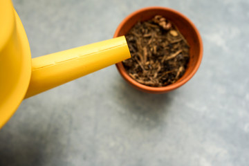 yellow watering can with dry ton pot