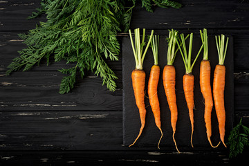 Bunch of fresh carrots with green leaves on  dark  wooden background. Flat lay. Top view